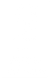 section content